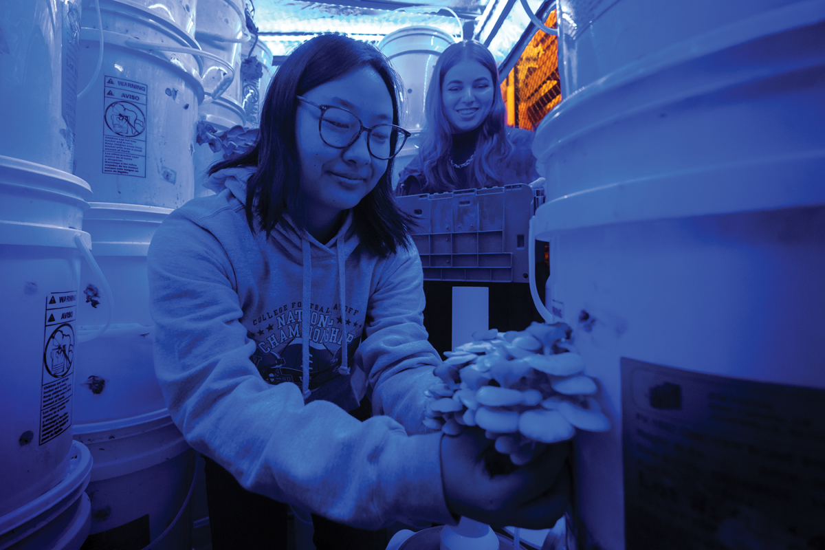 A student tends to a student-run sustainable mushroom farm in the basement of the Oxford Houses